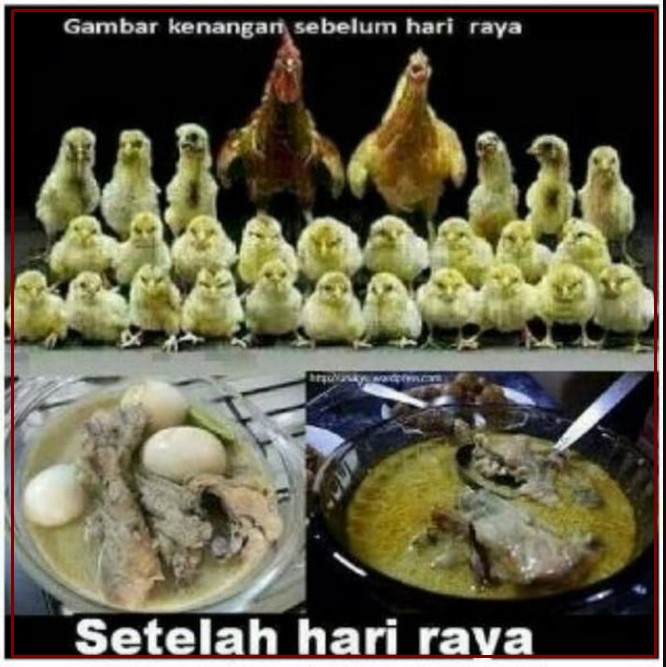 meme kocak lucu lebaran - kanalmu