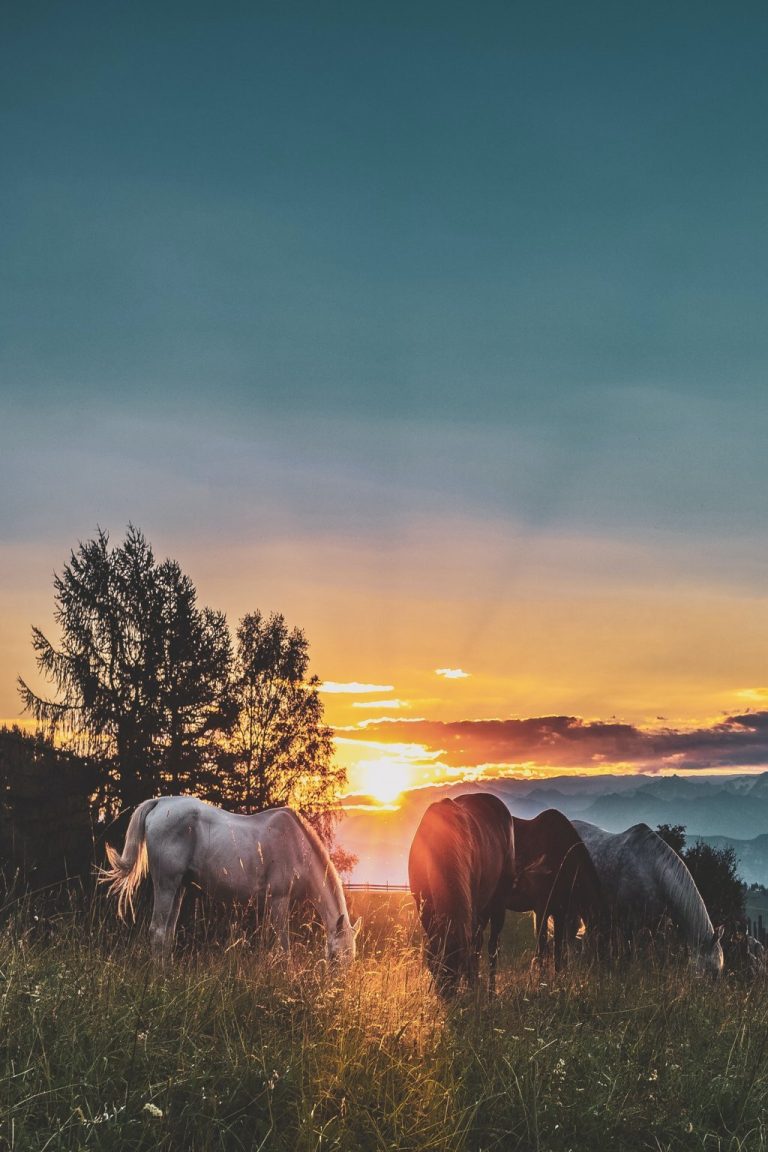 Wallpaper Keren Full Layar Aesthetic Dan Unik
